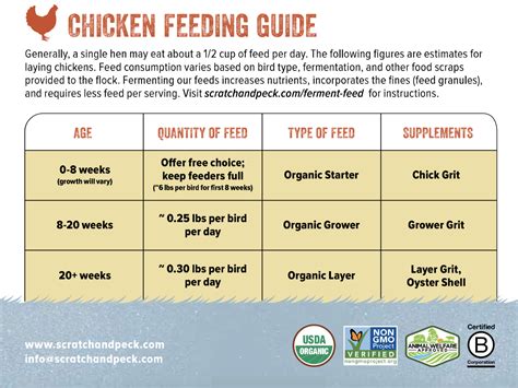 bmeg feeding guide for chicken